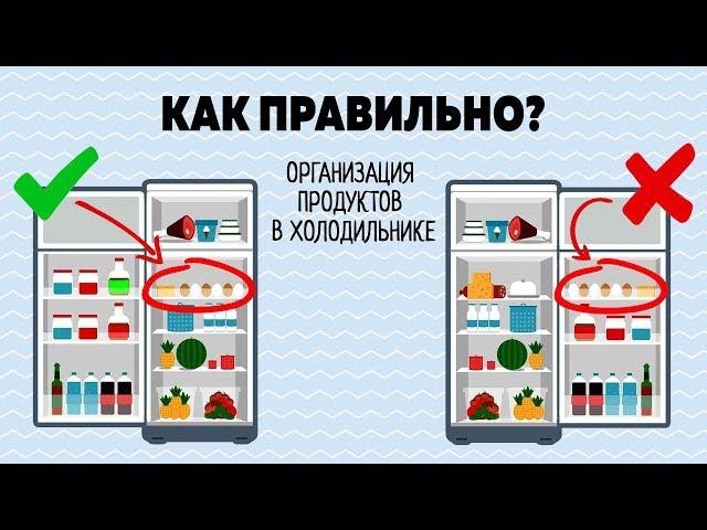 Как ПРАВИЛЬНО Хранить ПРОДУКТЫ в ХОЛОДИЛЬНИКЕ! Что в МОЕМ Холодильнике?