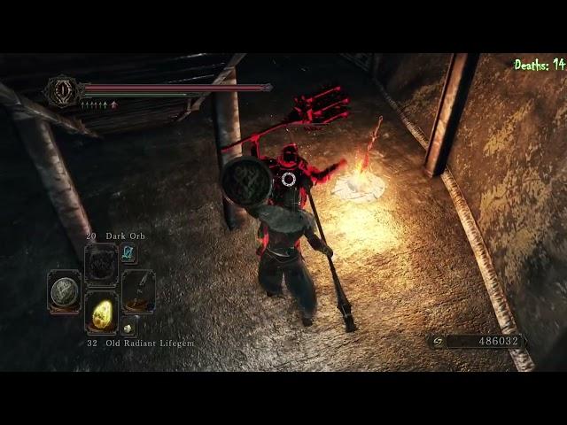 I attempted a Dark Souls 2 no death, no bonfire run on NG+