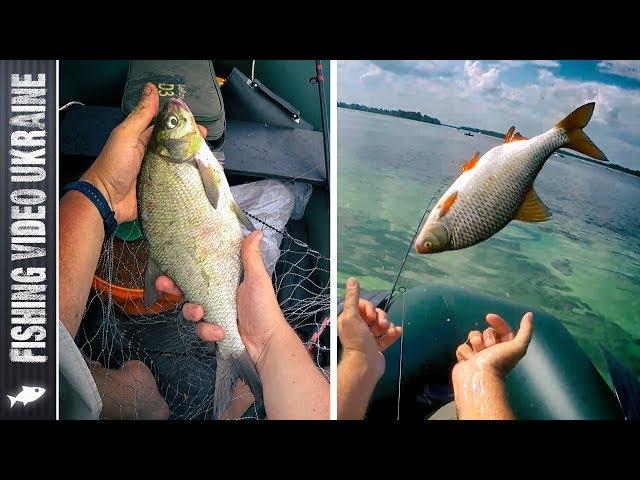 BREAM WENT!!! FINALLY LUCK IS ON OUR SIDE | FishingVideoUkraine