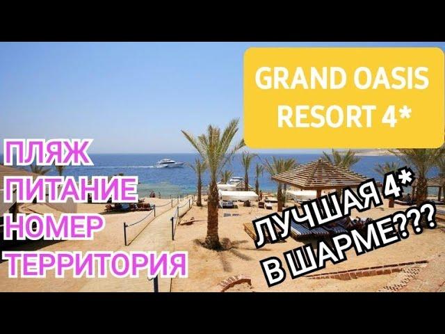 Grand Oasis Resort 4*. Обзор пляжа, завтрак, ужин, номер и прогулка по территории к морю.