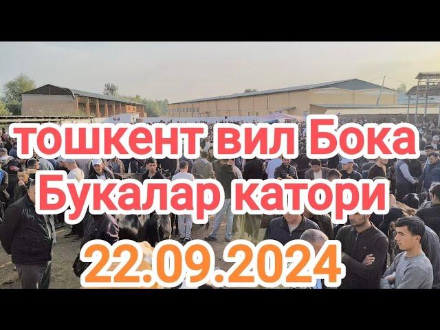 тошкент вил Бока тумани мол бозори букалар катори 22.09.2024