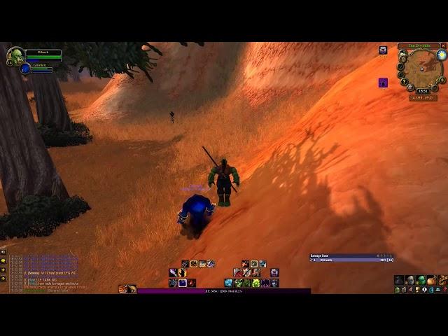 World of Warcraft Classic Harpy Raiders