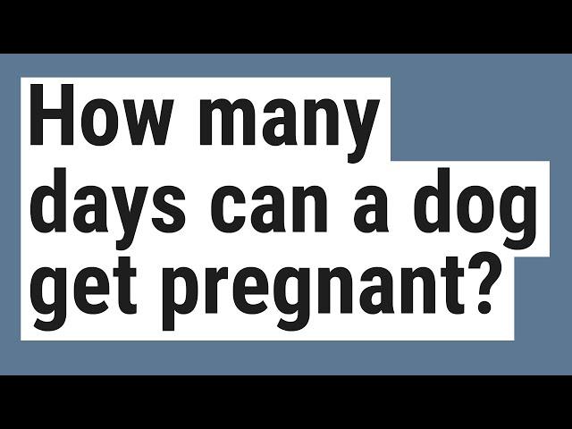 How many days can a dog get pregnant?