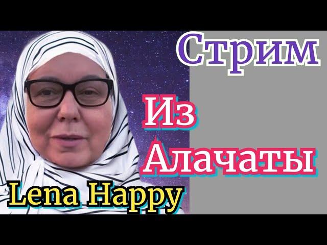 Как Лену Хеппи гладит Селим. краткий обзор стрима 15.03.23 #lenahappy