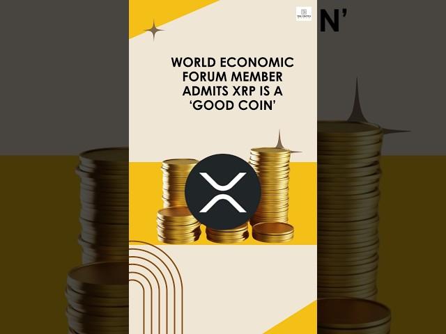 World Economic Forum Member Admits XRP is a ‘Good Coin’. #XRP #Ripple #WEF #XRPCommunity #Blockchain