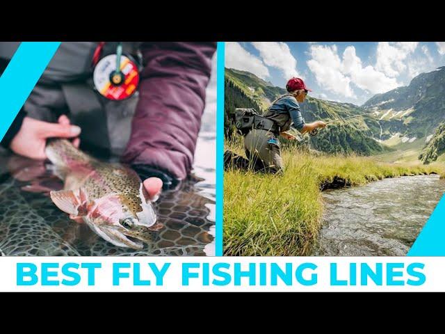 Best Fly Fishing Lines - Buying Guide!