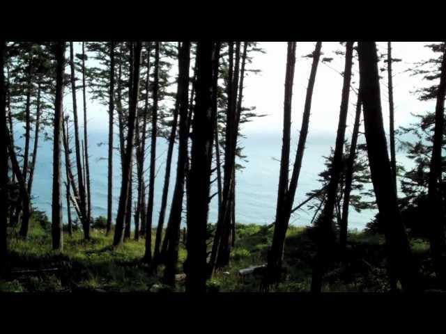 Behind The Scene - Elcoa State Park, Oregon