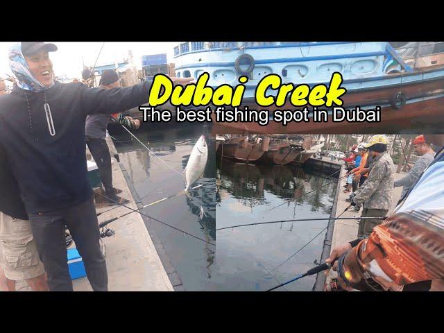 Best fishing Spot in Dubai UAE - Shore fishing - Hook Fishing