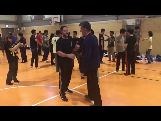 Vladimir Vasiliev Systema Japan "Awareness, Speed, Power" November 2018 seminar Clip 2