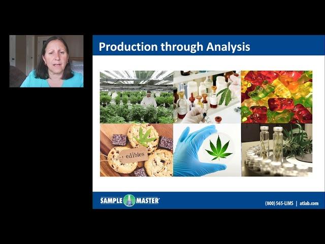 Automating Cannabis Testing with LIMS and Laboratory Automation