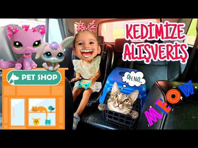 Eva ile Kedimizi Alışveriş Yapmaya Petshop'a Götürüyoruz