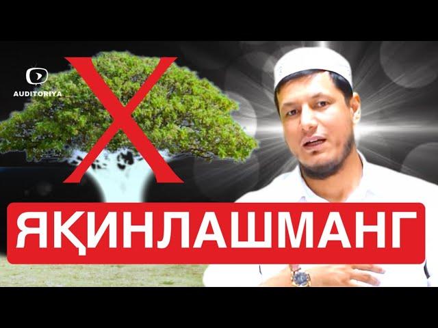 АБДУЛАЗИЗ ДОМЛА -ДАРАХТГА ЯҚИНЛАШМАНГ ! | #эслатма #abdulazizdomla #абдулазиздомла