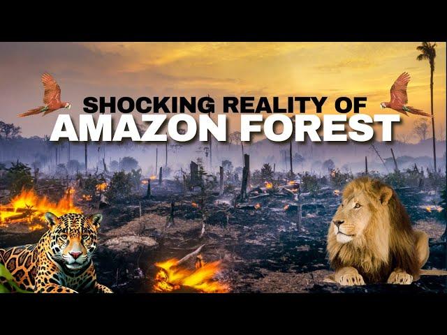 Exploring the AMAZON FOREST - You Won't Believe What We Found