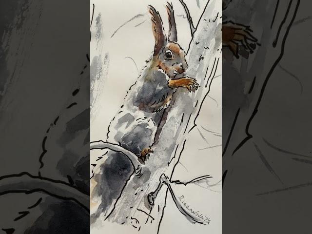 #squirrel #squirreldrawing #wildlifeart #short  #art #арт #painting #lineandwash