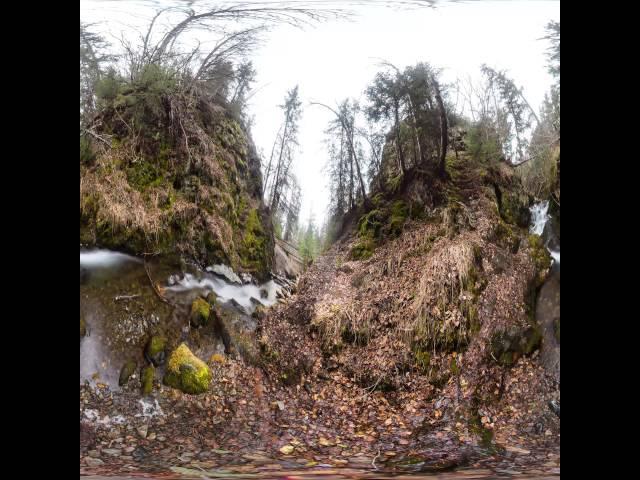 Nature Moments - McHugh Creek 360