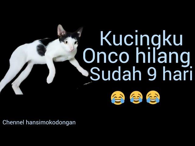 kucingku onco hilang(@Hansil mokodongan)