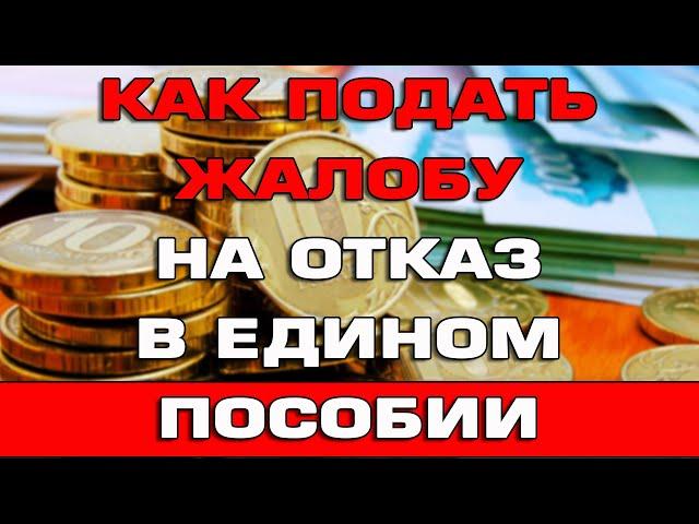 Как подать жалобу на отказ в Едином пособии