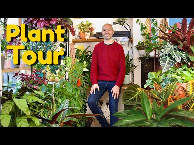 Living With 300 Plants! Full Home Tour