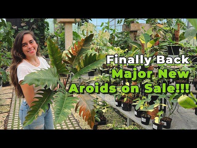 Day in the life, working at a garden center | Monstera Albo, Aroids, & Exotic Plants Restock on Sale