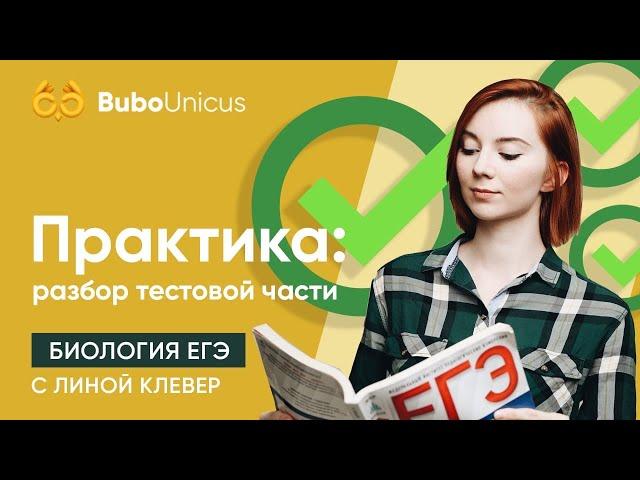 Практика | БИОЛОГИЯ ЕГЭ | Лина Клевер