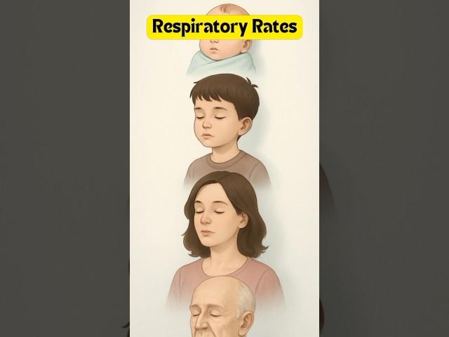 "Respiratory Rates Across All Ages: From Newborn to Elderly"