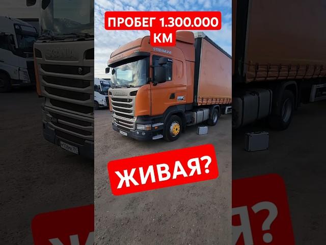 Scania R с пробегом 1 300 000 км - живая или нет? - Автоподбор грузовых авто Scania