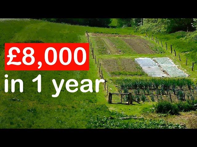 0.1 Acre Market Garden Tour | £8,000 In The First Year.