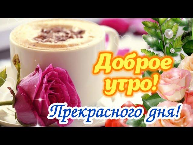 С Добрым утром! 🪷 Прекрасного дня и хорошего настроения!  Красивая открытка #пожелания