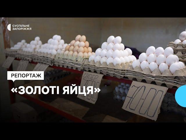 Щонайменше 70 гривень за десяток: чому на Запоріжжі здорожчали яйця та чого чекати надалі