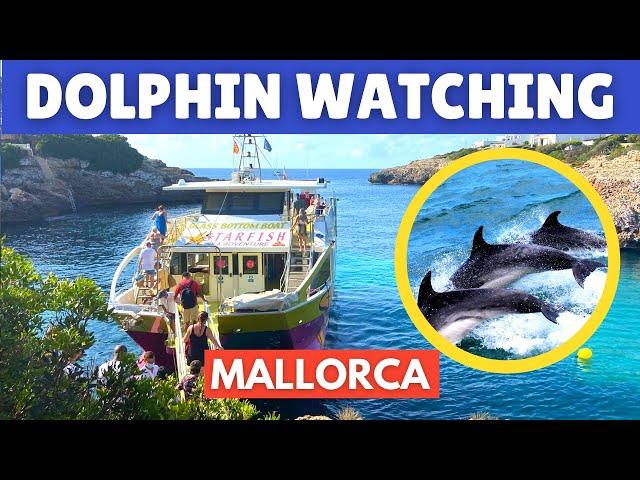 Dolphin Watching Mallorca (Majorca): Cala D’Or, Spain, August 2021