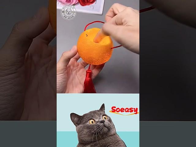 Cute Craft Ideas P1 #art #handmade #crafts #cat