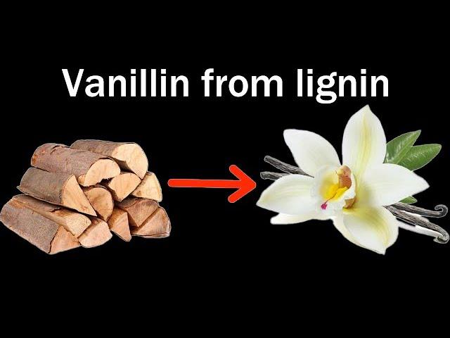 Making Vanilla from Wood (Lignin)