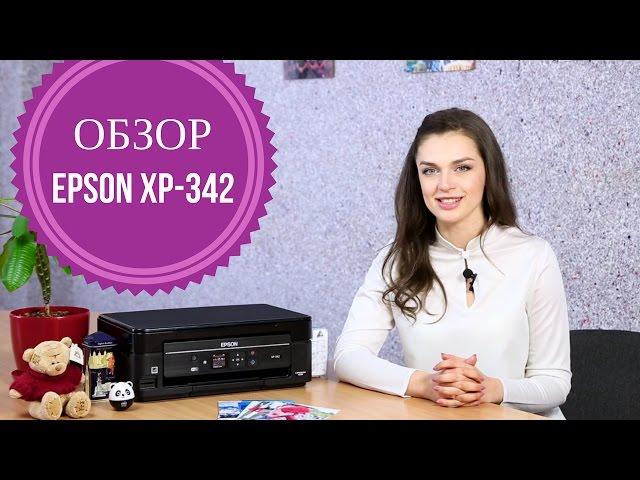 Обзор МФУ Epson XP-342 с Дариной