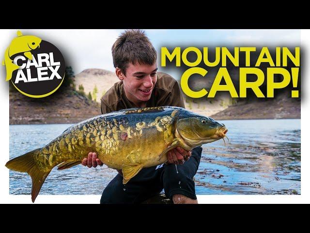 CARP FISHING in the MOUNTAINS of Gran Canaria!