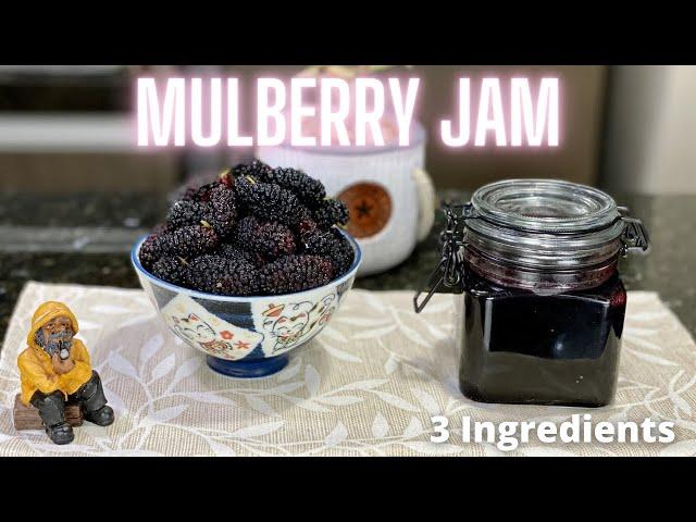 Mulberry Jam Recipe (3 Ingredients) - No pectin