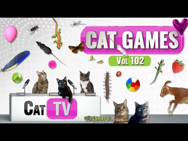 CAT Games | Ultimate Cat TV Compilation Vol 102 | 6 HOURS  