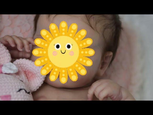 Распаковка реборна/новая малышка/моя маленькая мечта/Reborn baby box opening