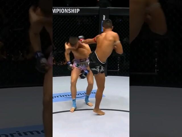 PERFECT chin kick  @ONEChampionship
