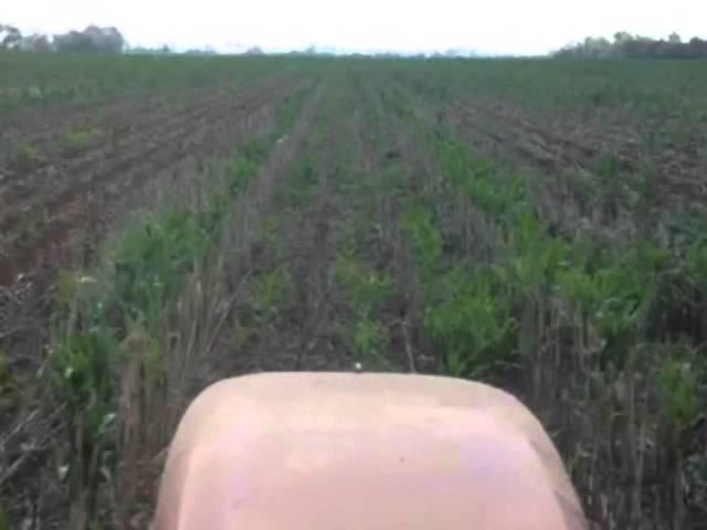 Orthman 1tRIPr in corn residue - Louisiana