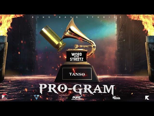 Tanso - Pro-Gram (Visualizer)