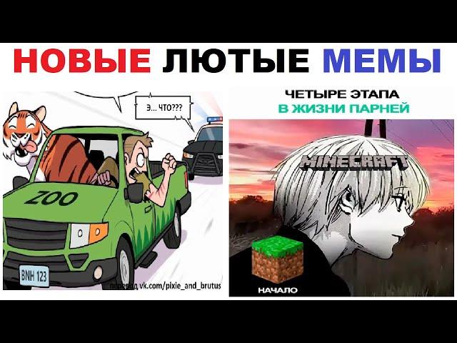 Лютые шортсы. Похищение тигра и МАЙНКРАФТ !