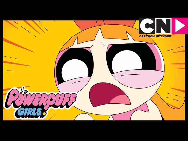 Powerpuff Girls | The Love Web | Cartoon Network