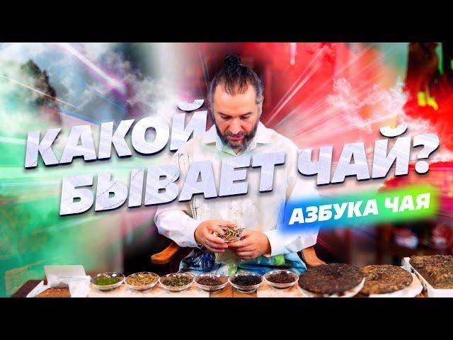 Азбука чая. Какой бывает чай? Разбираем виды чая.