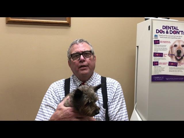 Introduction to Superior Veterinary Care