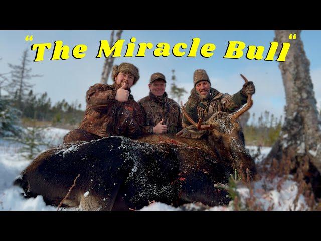 Moose Hunting in Newfoundland - The Journey of a Late Season “ Miracle Bull “ !