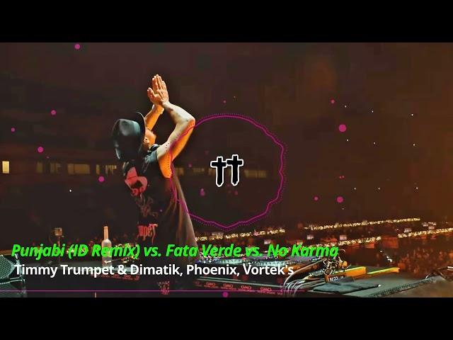 Punjabi (ID Remix) vs. Fată Verde vs. No Karma (Timmy Trumpet 2024 Mashup)