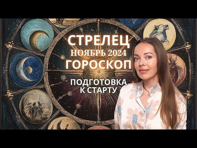 Стрелец - гороскоп на ноябрь 2024 года. Подготовка к старту