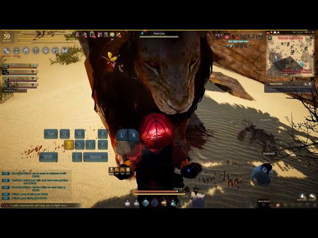 Black Desert Lion Vs Street Shark!