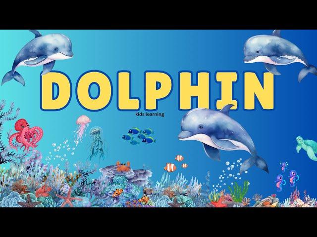 Dolphin Marine Animal for kids Learning | Sea Animals Dolphin Lifestyle for Toddler Learning