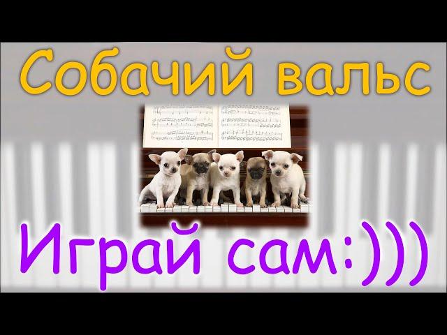 . how to play dog waltz on piano easy  Как играть Собачий вальс Вальс собачек легко ИГРАЙ САМ